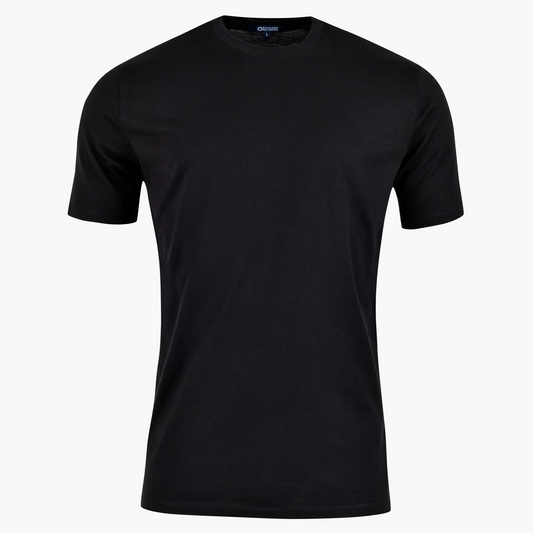 Alex Smart Formal T-Shirt