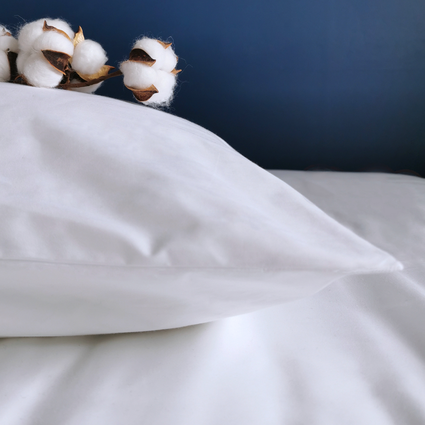 Set of Tabley Plain Pillowcases