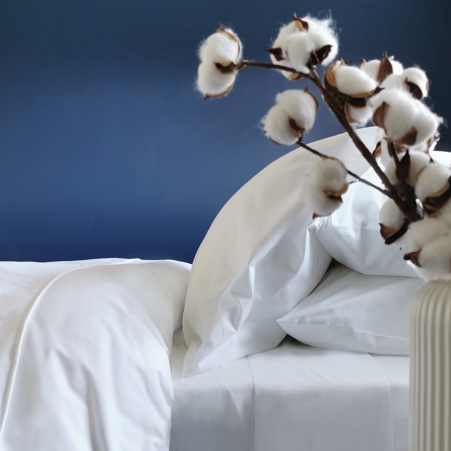 Set of Tabley Plain Pillowcases