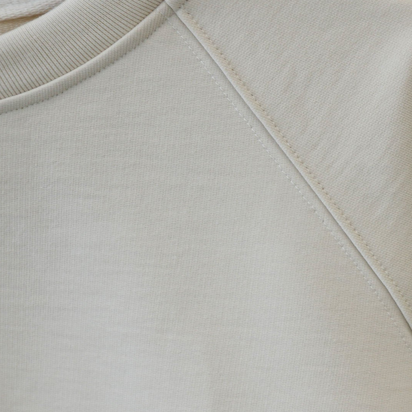 Charlie Raglan Sleeve Loopback Sweatshirt